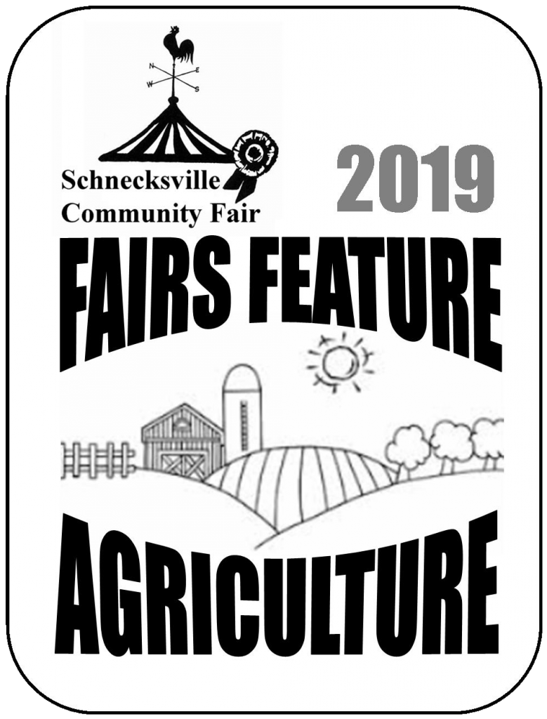 Schnecksville Community Fair