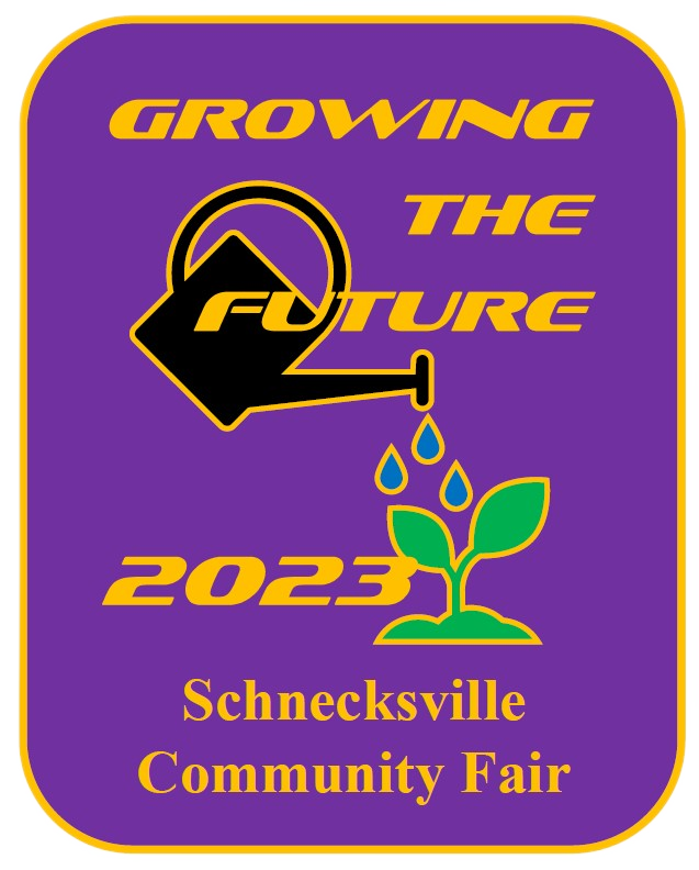 Schnecksville Community Fair